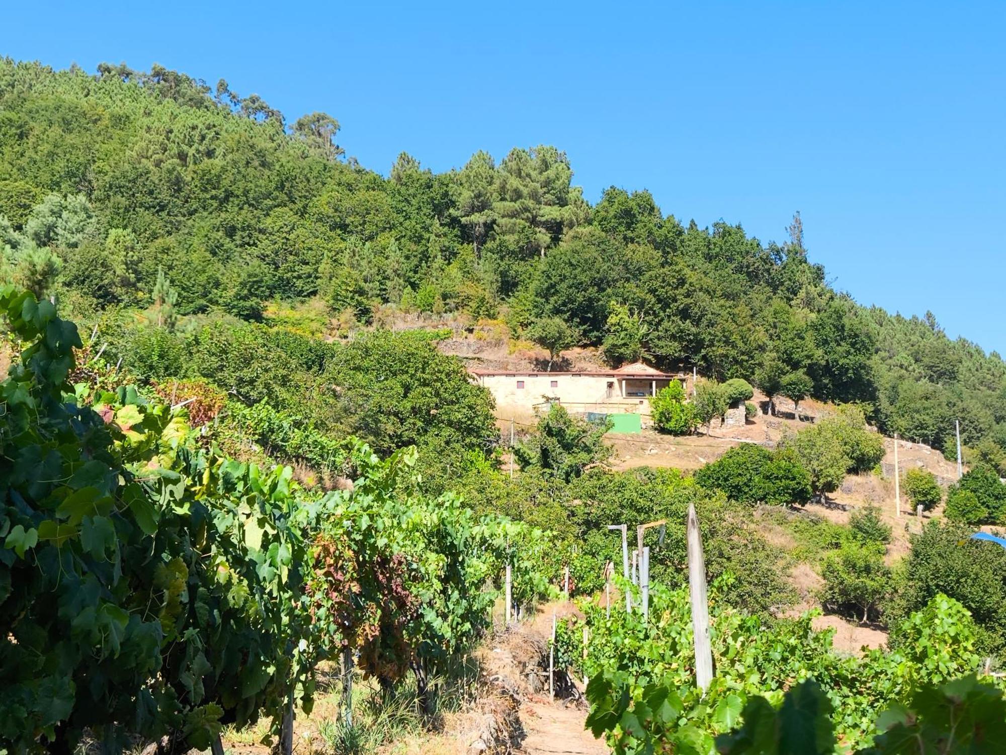 Xiravai-Ribeira Sacra Villa Peares Exterior photo